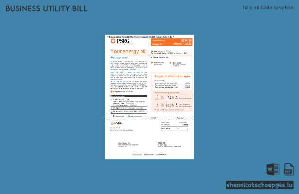 Geschäftsrechnung des Energieversorgers PSEG New York, Seite 1 (Beispielansicht)